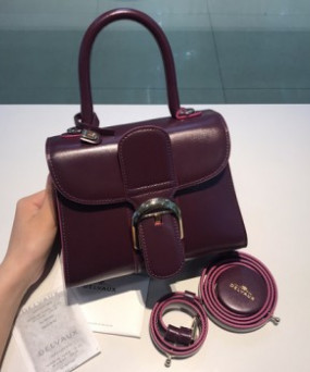 델보 브리앙 박스백 미니